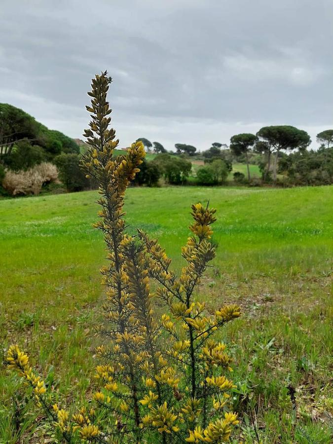 Casa Susana Sapataria Dış mekan fotoğraf